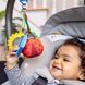 Іграшка-підвіска на коляску Baby Einstein "Touch of Nature", з народження