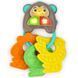 Музичне брязкальце Bright Starts "Musical MonKeys", від 3-х міс