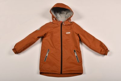 Термокуртка демисезонная для мальчика, Коричневый, 122, Верхняя одежда