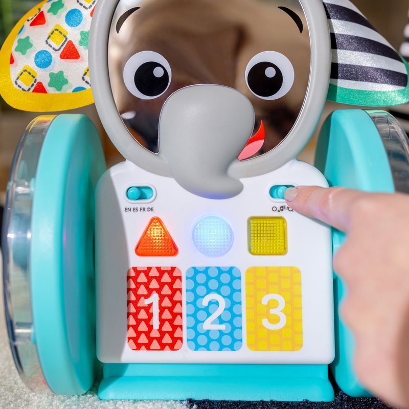 Музыкальная игрушка Baby Einstein "Chase & Tap Earl", от 6 - ти мес