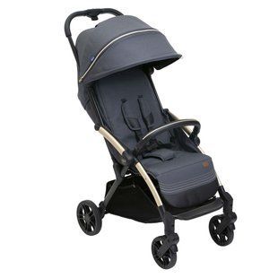 Прогулянкова коляска Chicco Goody XPlus, Прогулянкова коляска